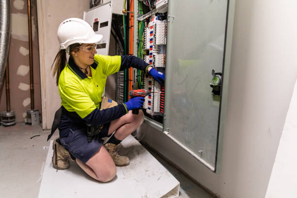 Best Home Electrical Repair  in Canadian Lakes, MI