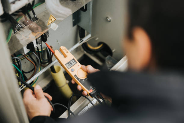 Best Local Electrician Companies  in Canadian Lakes, MI