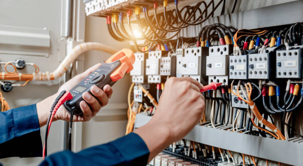 Best Electrical Rewiring Services  in Canadian Lakes, MI