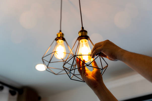 Best 24-Hour Electrician  in Canadian Lakes, MI
