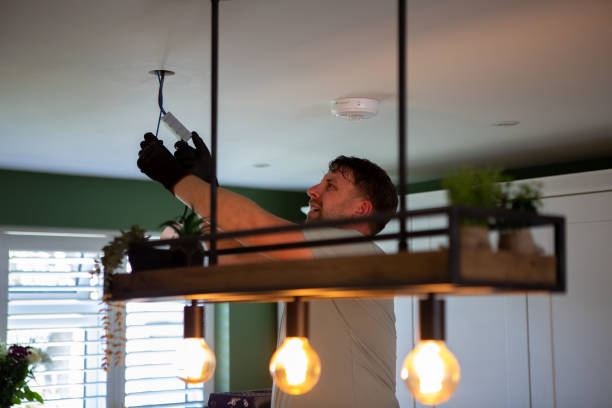 Best Generator Installation Services  in Canadian Lakes, MI