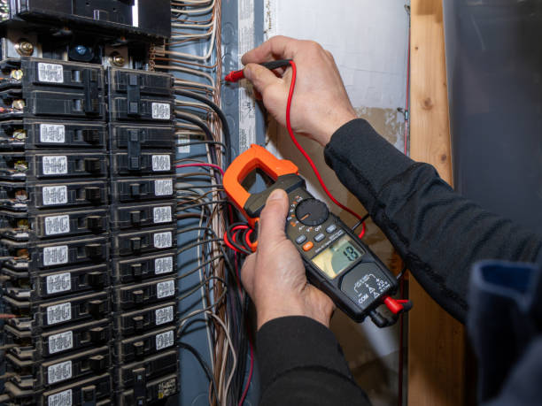 Best Electrical Repair Services  in Canadian Lakes, MI